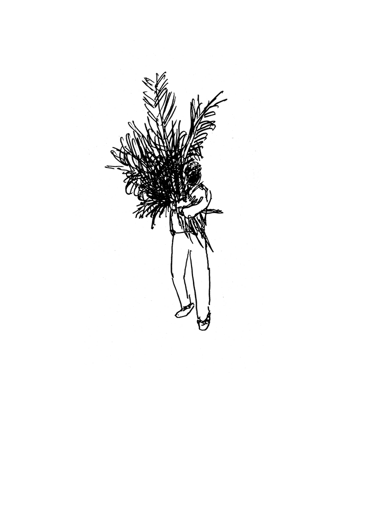 L'avant noël